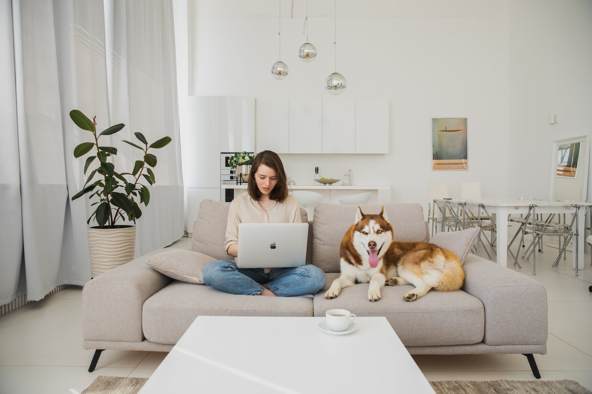 a young woman using a laptop in company of her dog social media marketing advantages