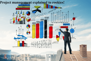 Project management explained to rookies!