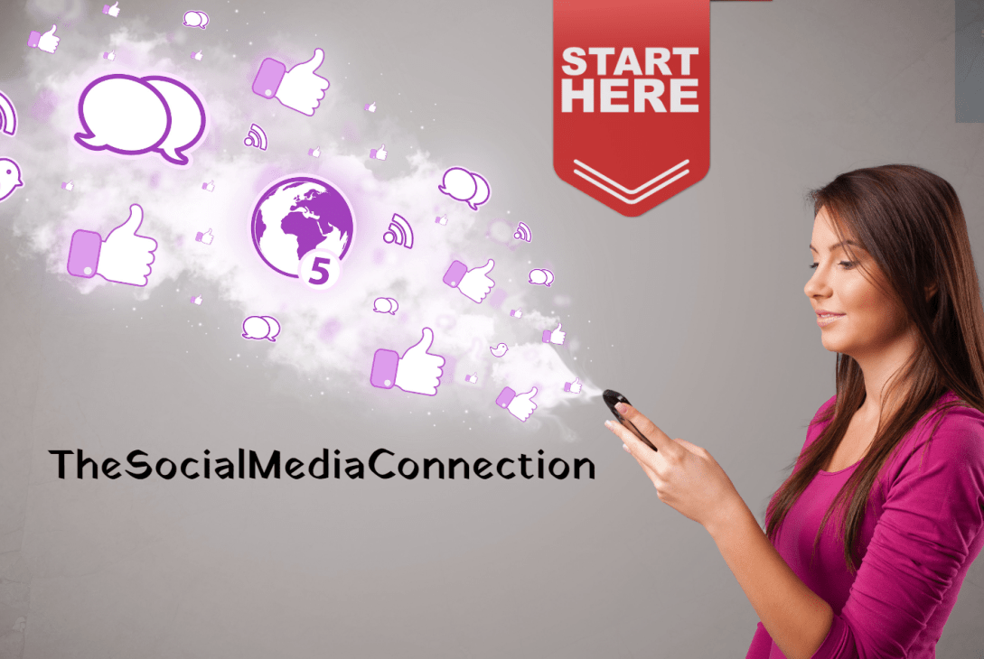 The Social Media Connection How to Use Facebook Twitter Instagram and Other Platforms to Build Your Blogging Community and Boost Your Brand