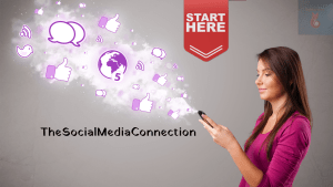 The Social Media Connection How to Use Facebook Twitter Instagram and Other Platforms to Build Your Blogging Community and Boost Your Brand